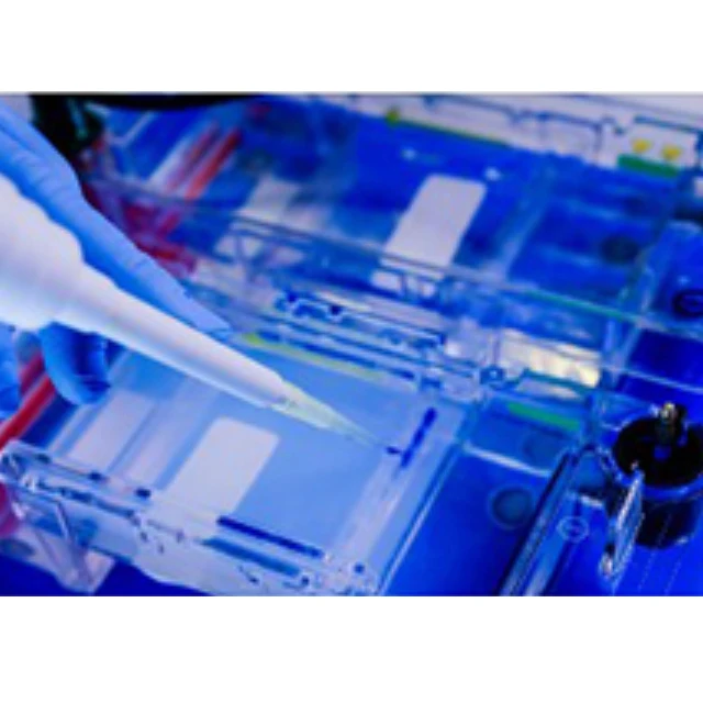 Gelzeit Pre-Cast Agarose Gel To Check DNA And PCR Results Through Electrophoresis