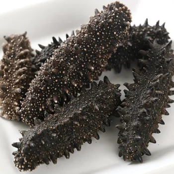 All Kind High Quality Sea Cucumber / Sea Cucumber Extract /Sea Cucumber Powder