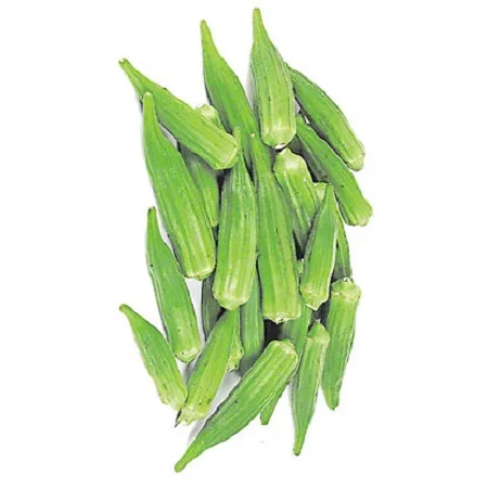 100% Fresh Vegetable Thailand Okra 100% Premium Quality Organic Ladies Finger/Fresh Okra Export