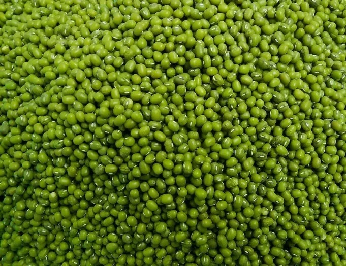 Mung Bean Fiber для продажи