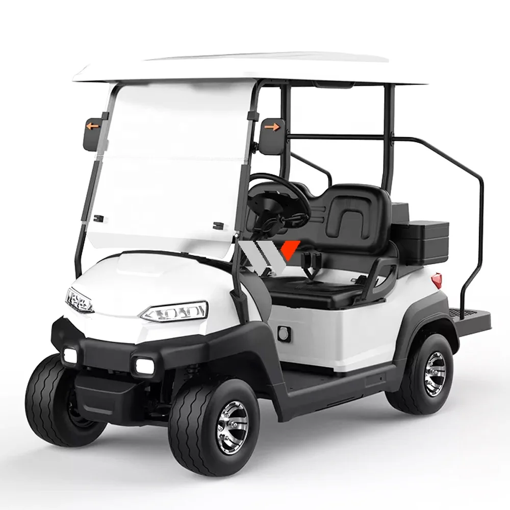 WFSEN S2 48v 4kw manufacturer mini 2 4 6 8 seater golf cart electric golf car with part