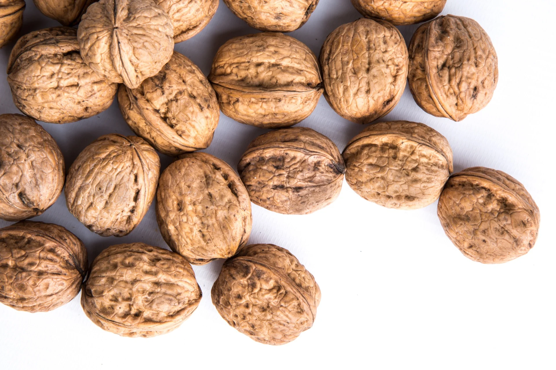 Premium Grade Walnut Kernels Without Shell Organic Raw Light Halves Peeled Walnuts In at Wholesale Price