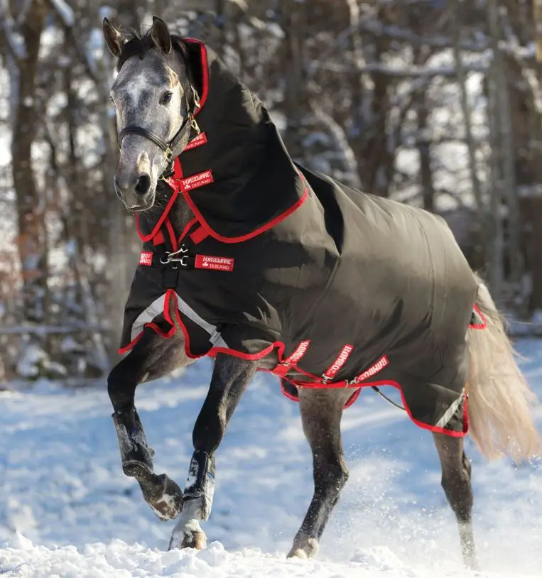 Customized black red equestrian 1200d fabric material waterproof cotton filling quilted stable horse rugs with combo neck cover