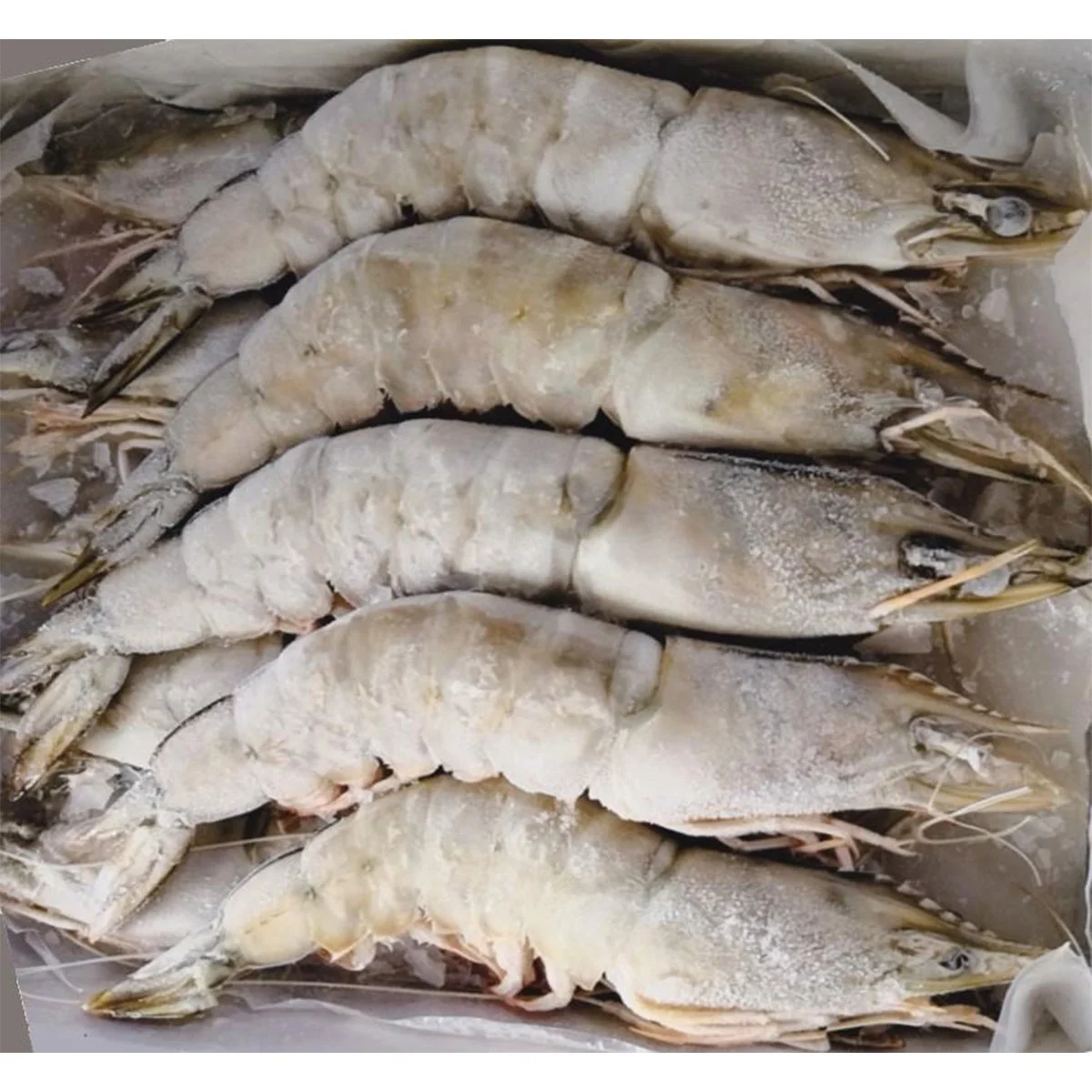 Good Price Good Supplier Frozen Black Tiger Vannamei Shrimp
