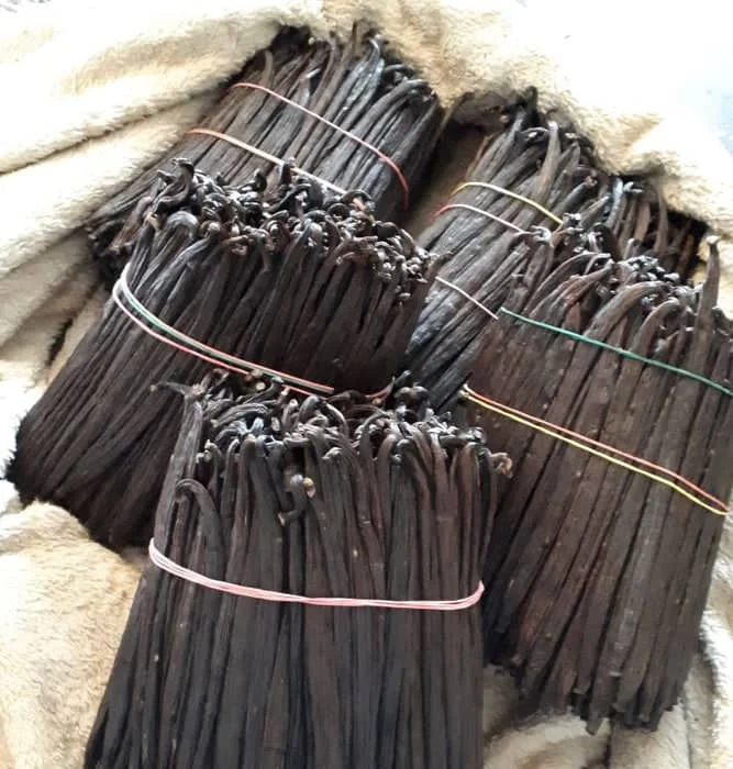 Vanilla Beans High Quality Bulk Madagascar Vanilla Beans for sale