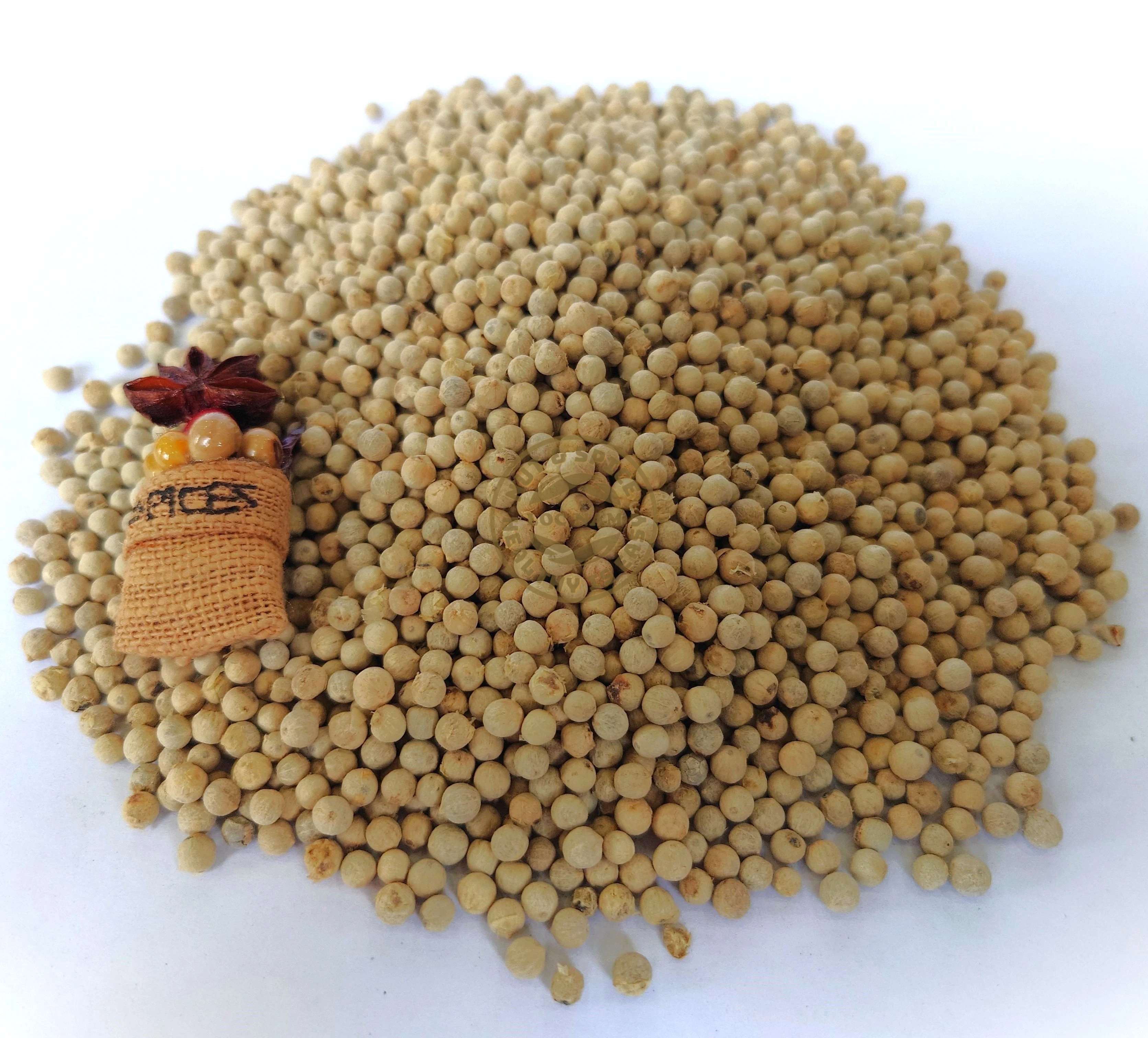 Wholesale Cheap Price Pepper Spices & Herbs Products High Quality White Pepper Vietnam origin