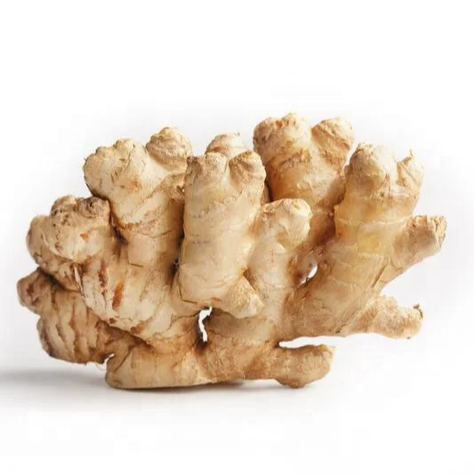 New Crop High Quality Fresh Ginger Ready to Export From Thailand, Shipment with in 7-Working Days.