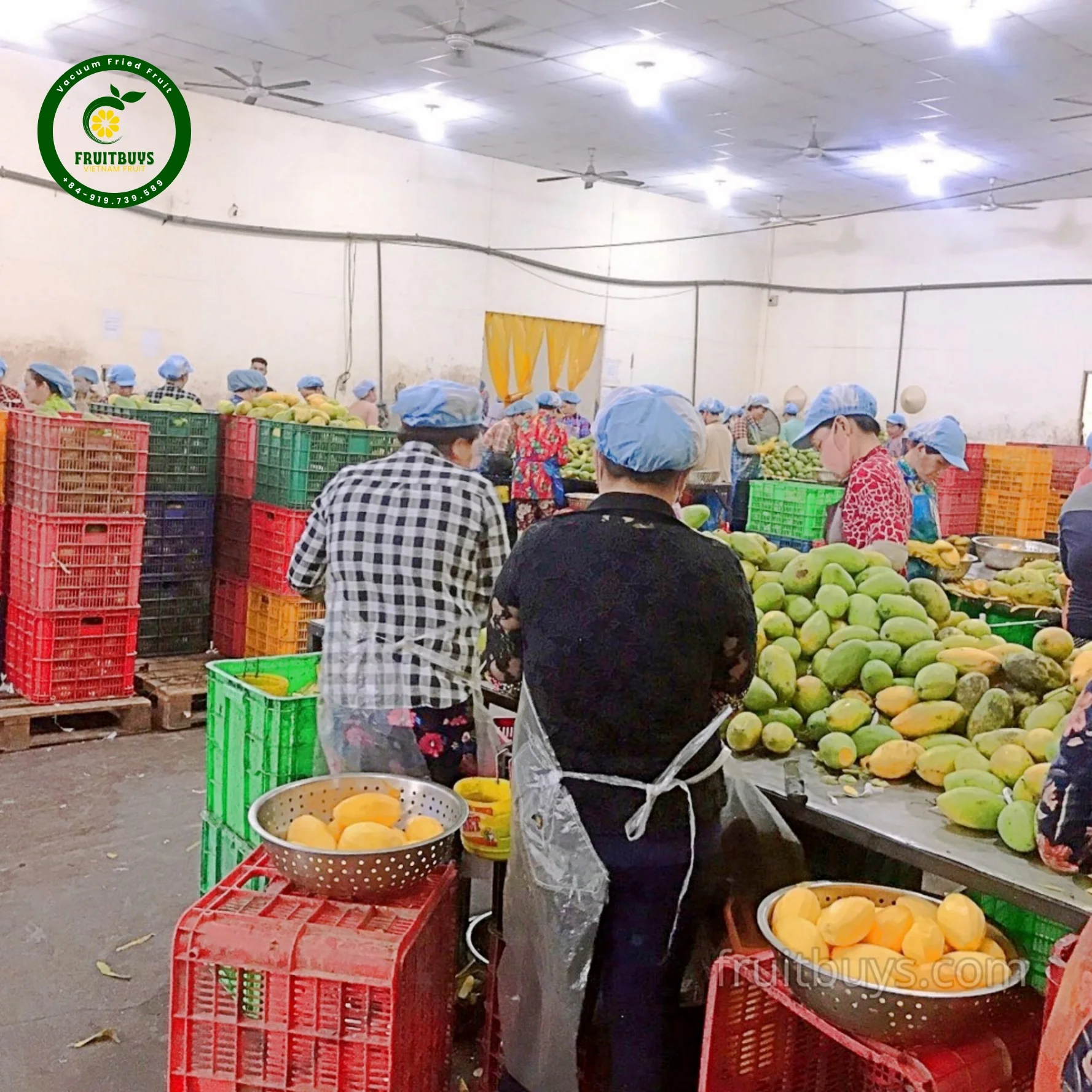 Exotic Mango Chips Fruit & Vegetable Snacks Wholesale Sweet Vietnamese Tropical Snack to Stimulate Your Taste Buds