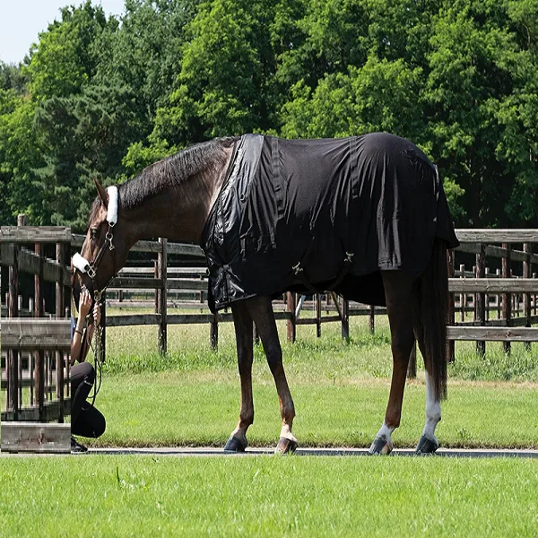 Horse Back on Track Mesh Custom Horse Rug Hot Sell Customization Factory Wholesale Horse Blanket Manufacturers Riding House