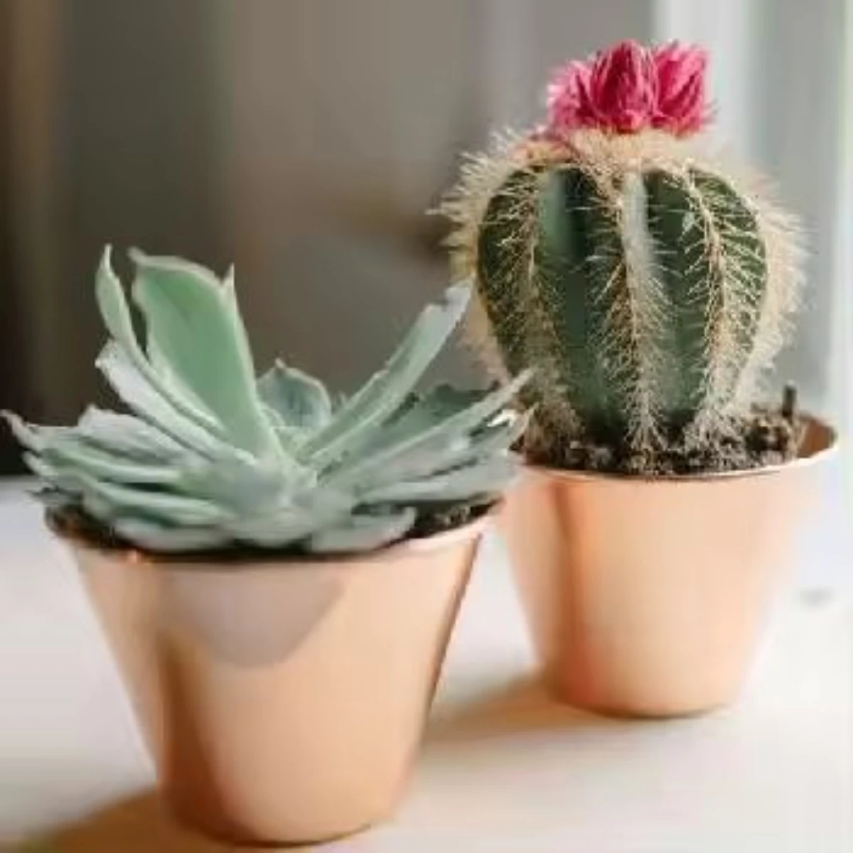 Hot Selling Amazing Round Shape Plants Pot Copper Flower Pot Plant Pot For Plants Vegetable And Flower Usage