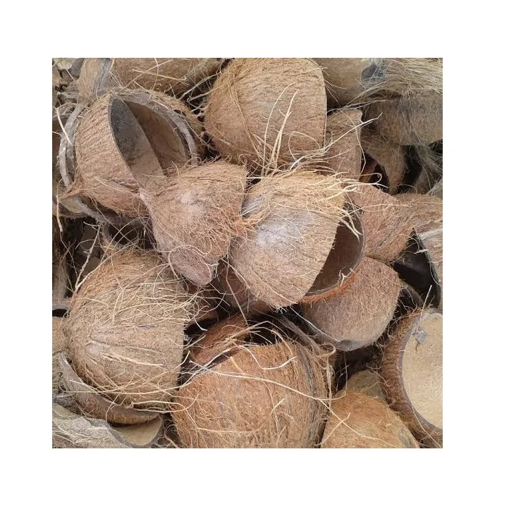 Natural Material Agricultural Waste Charcoal Coconut Shell Wholesale  Palm Kernel Shell Cheap Prices From Indonesia