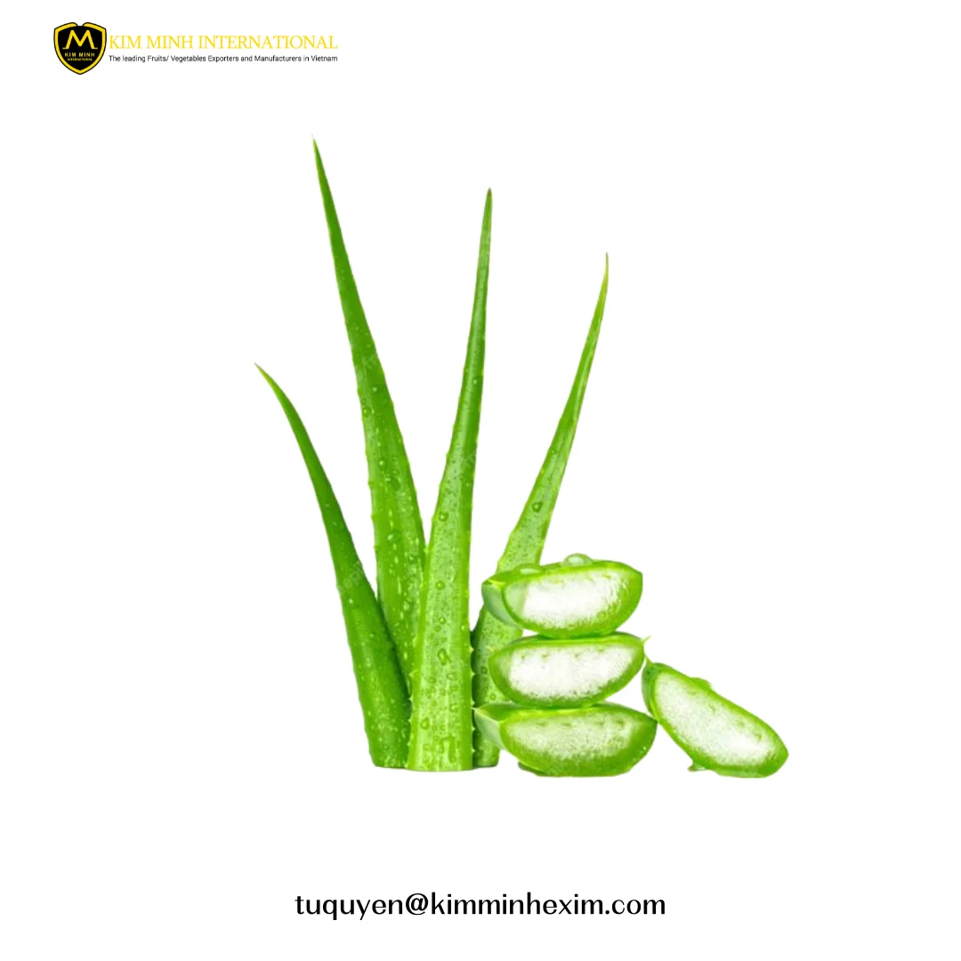 Premium Frozen Aloe Vera Dice/Chunks/Cubes - Bulk Wholesale from Vietnam - Whatsapp 8435 998 4136