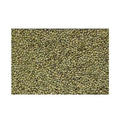 Зеленая чечевица Canada высшего качества