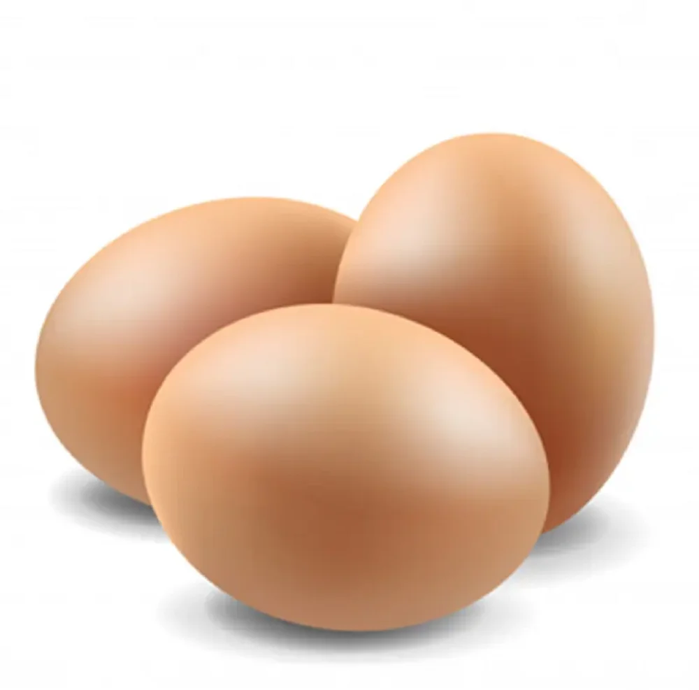 Fresh Brown And White Shell Chicken Eggs Farm Fresh Table Eggs for Sale at Wholesale Prices