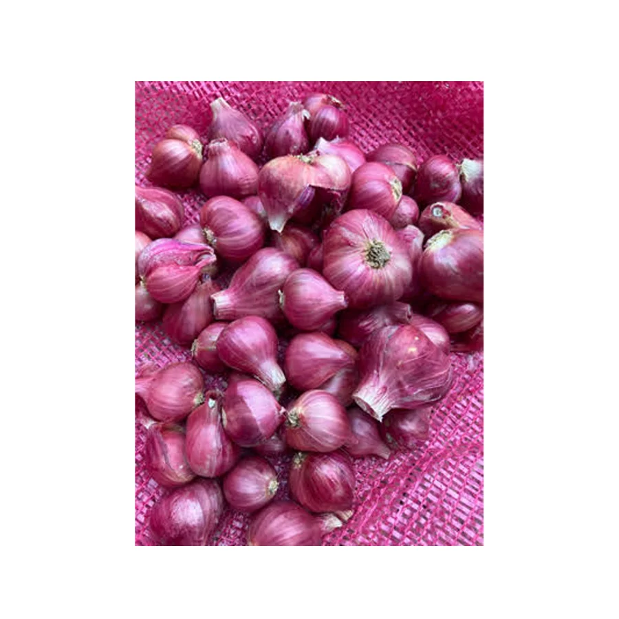 Лидер продаж, тайские овощные свежие красные шалоты + 66934602728 Сетчатая Сумка для лука, высокое качество, готов к экспорту из Таиланда