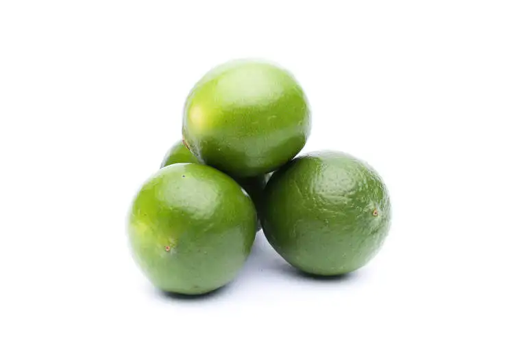 Vietnam Best Price Rich Vitamin C Fresh Lemon Seedless Lime from Vietnam