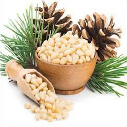 Pine Nuts, Pine Nuts In Shell & Unshelled, Chilgoza, Sanobar Nuts
