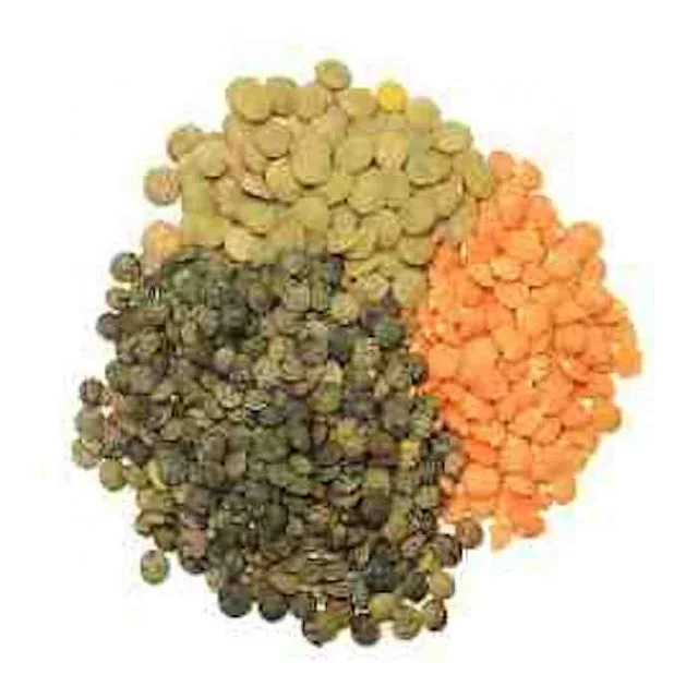 Novelty Green Lentils Dried Red Wholesale Bulk Packaging Food Use Less Than 3.5% Grain Impurities Worldwide