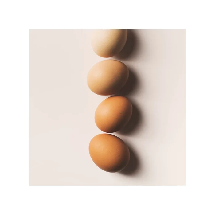 Ведущий экспортер коричневых куриных яиц бройлеров на продажу фермерские куриные яйца инкубатории куриные столы коричневые яйца свежие