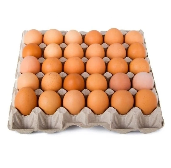 Brown/White Fresh Table Chicken Eggs, Chicken eggs in bulk