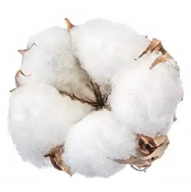 Wholesale 100% Pure Organic Raw Cotton Bales Cheap Price Raw Cotton Linter for Spinning Use