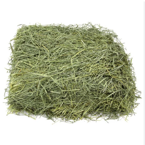 High Quality Non-GMO Alfafa Hay for Animal Feeding Alfalfa /Rodent Hay for sale