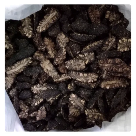 EXCEPTIONAL DRIED NONI FRUIT - EXPERIENCE THE RICH FLAVOR AND WELLNESS BENEFITS AT BEST PRICE