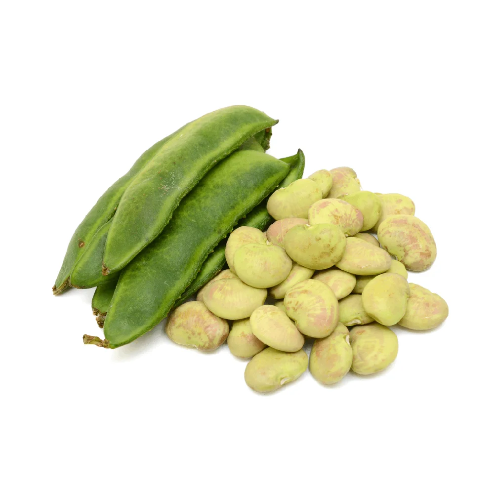 Wholesale Price High Quality Lima Beans Wholesale Fresh Dried Frozen Lima Beans,white Lima Bean