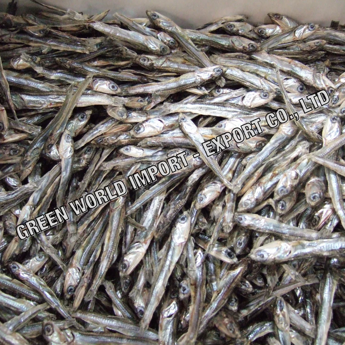 Сушеная Анчоуса в новый сезон-вьетнамский оптовый продавец-высокое качество и привлекательная цена для анчоусов