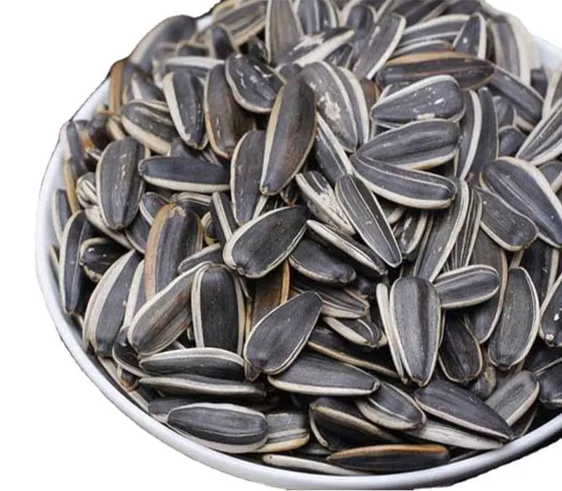 wholesale 2024 crop 361 sunflower seeds supply USA