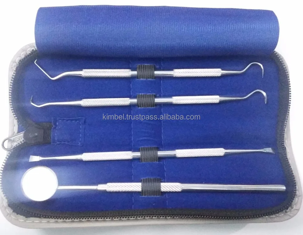 OEM Service Double Ended Design Dental Scaler Dentistry Instrument for Sale Ce PK High Grade Dental Tool Kit