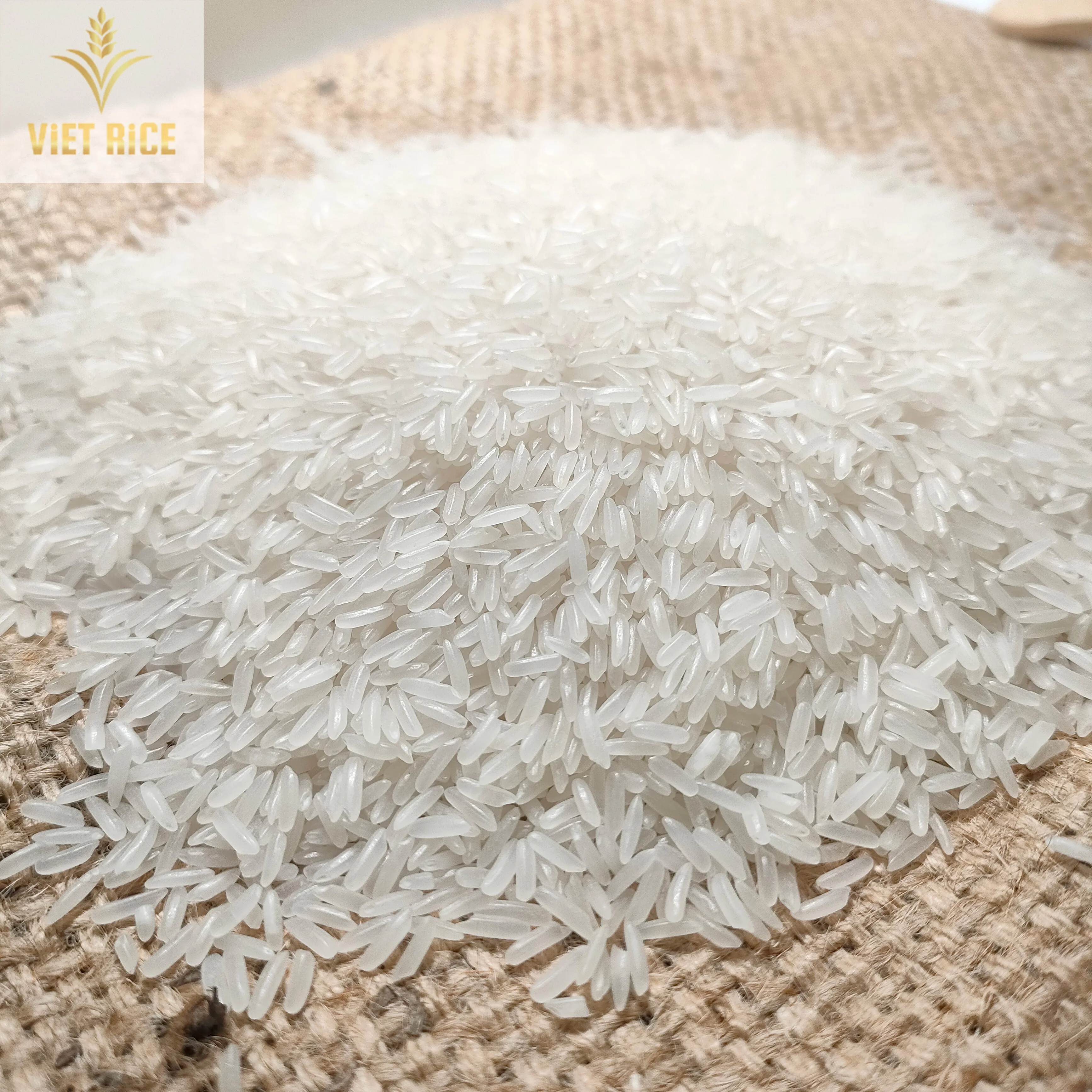Best Price White Rice DT8 JASMINE RICE 5% Broken by Suppliers in Vietnam with a Large Quantity OEM for All Markets