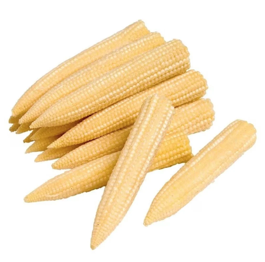 Wholesale Organic Frozen baby corn with cheap price from Agenas co.ltd Viet Nam