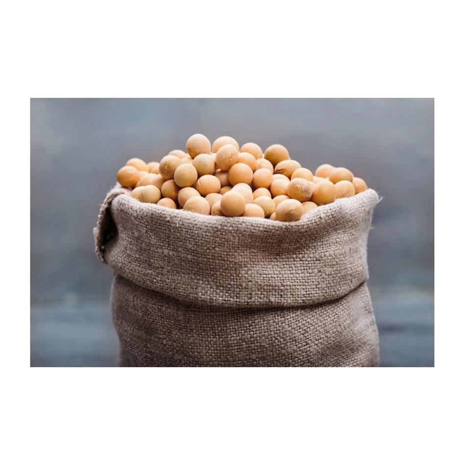 NON GMO Soybean Available for Cheap Price / High Quality Soybean/Soya Bean - Soybean Seeds