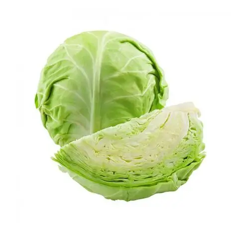 Fresh Green Cabbage
