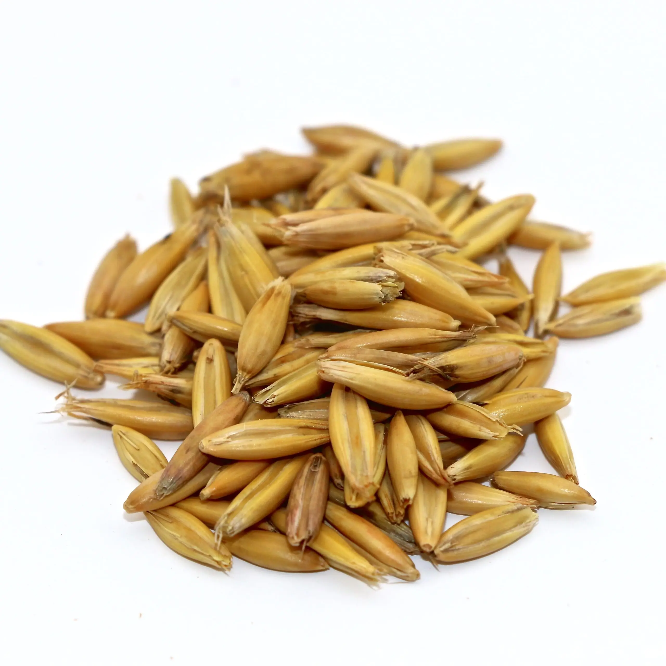 Natural Pure Wheat Dried Grade Grain High Quality Wheat