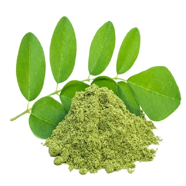 High Quality Moringa Leaves Powder Supplier From India/Malunggay extract /Moringa powder