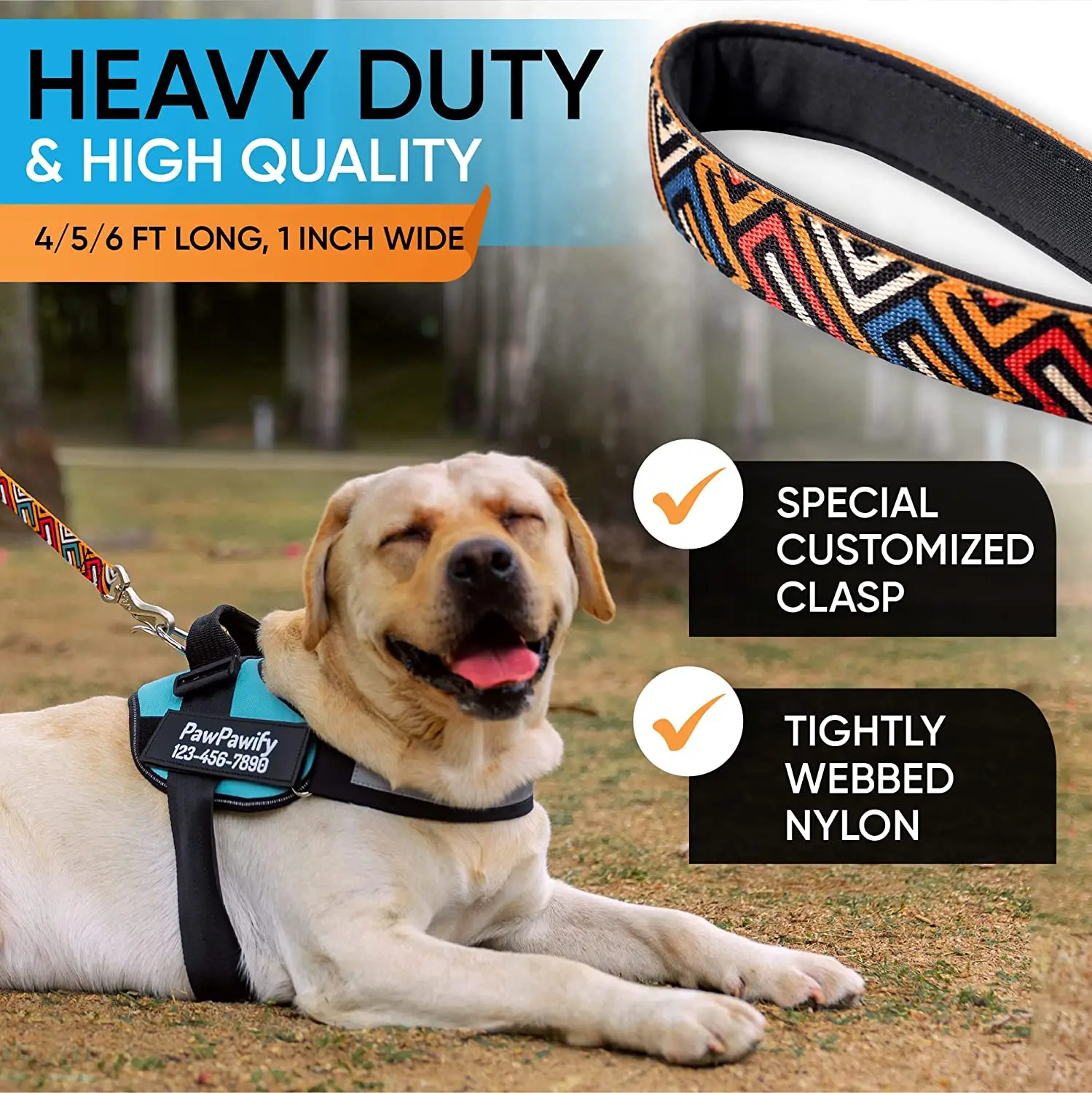 Custom Colorful Pattern Luxury Printed adjustable Pet Collar Leash Bandana Dog Harness and Leash Set