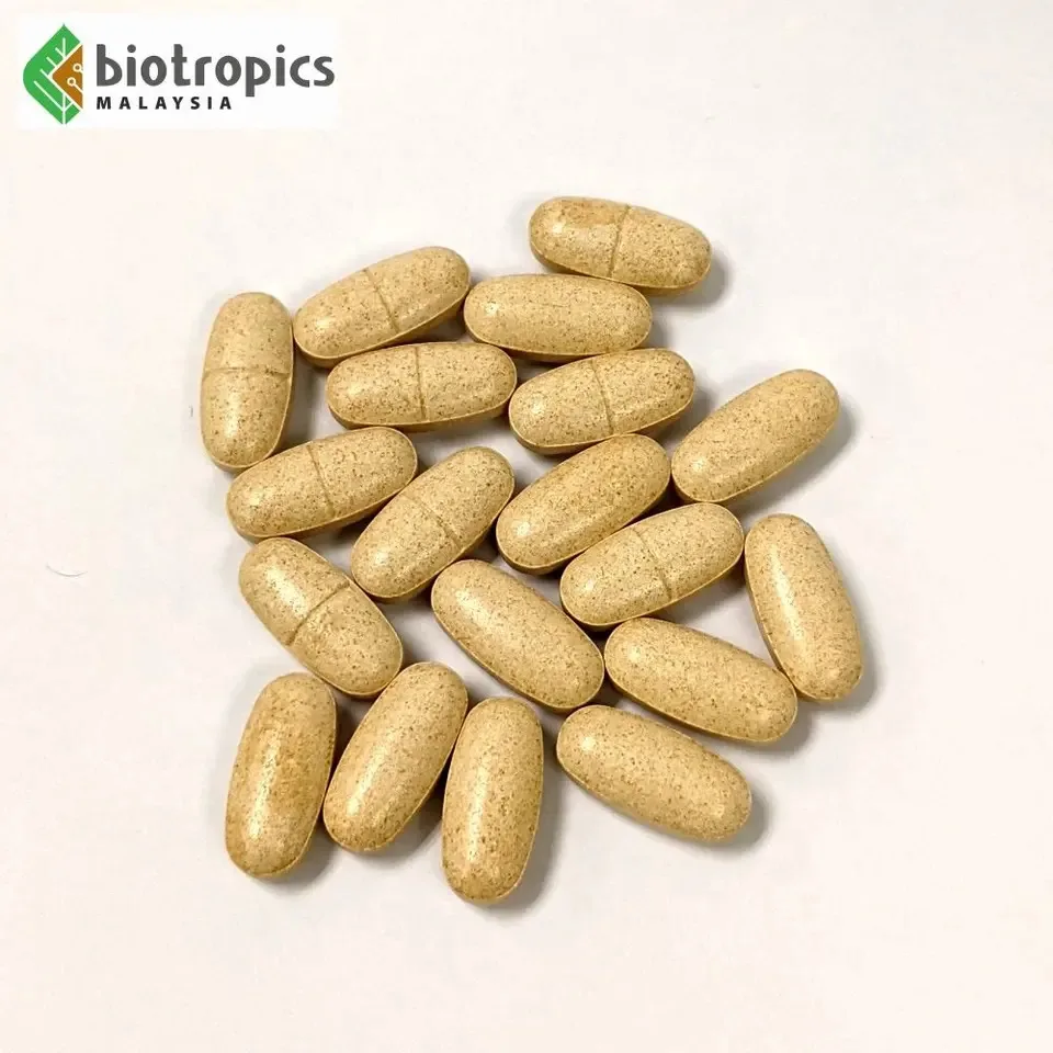 Buy Wholesale Bulk 100% Tongkat Ali Extract Capsules Competitive Price High Quality Male Health Supplement