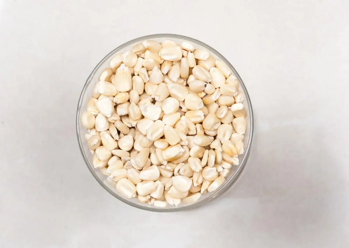 White Corn10.jpg