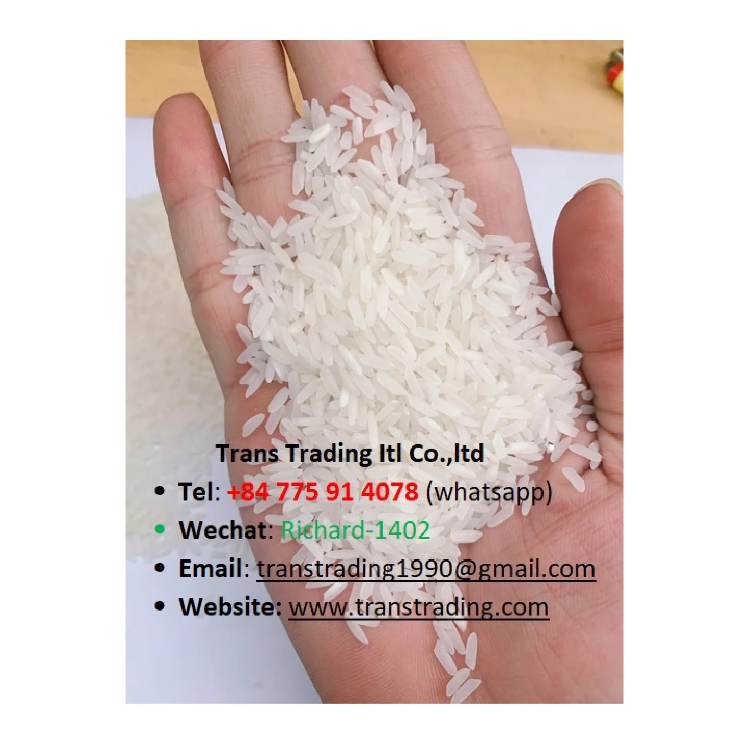 Storage Type Customized Packaging Glutinous paddy rice Vietnamese Long Grain Jasmine White Rice from Vietnam