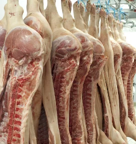 Frozen Pork Carcass 4-way 6-way Cuts Buy Whole Pork Carcass in Cheap Sellers Fast Shipping Worldwide