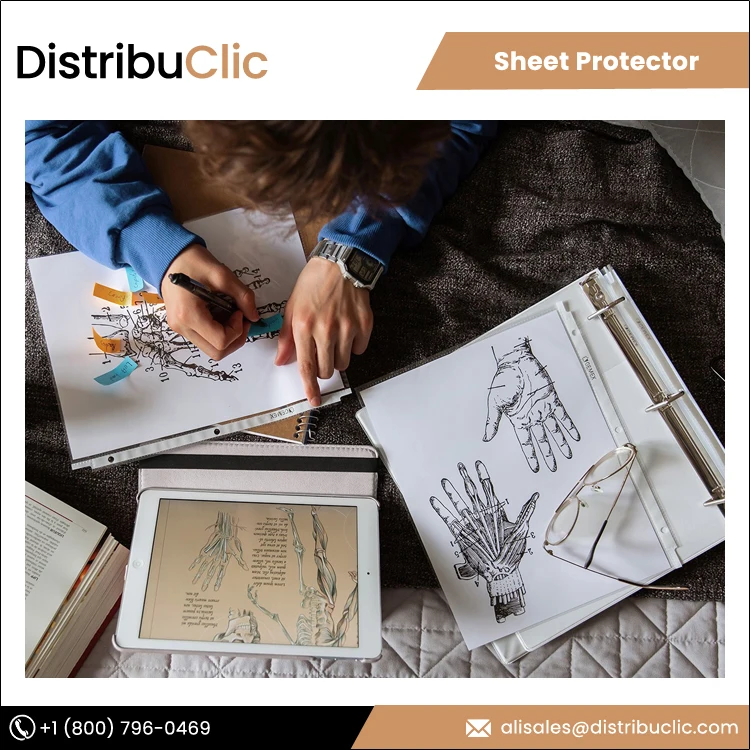 Lowest Price A4 Size Crystal Clear 3 Hole Polypropylene Film Punched Pp Plastic Sheet Paper Protector