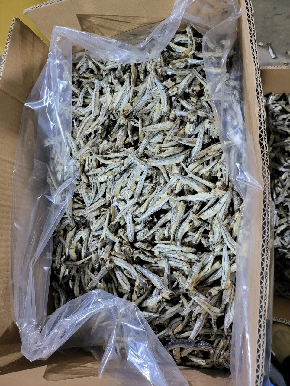 Wholesale dried anchovies dried shrimps high quality steamed anchovies 100% organic Made from Vietnam