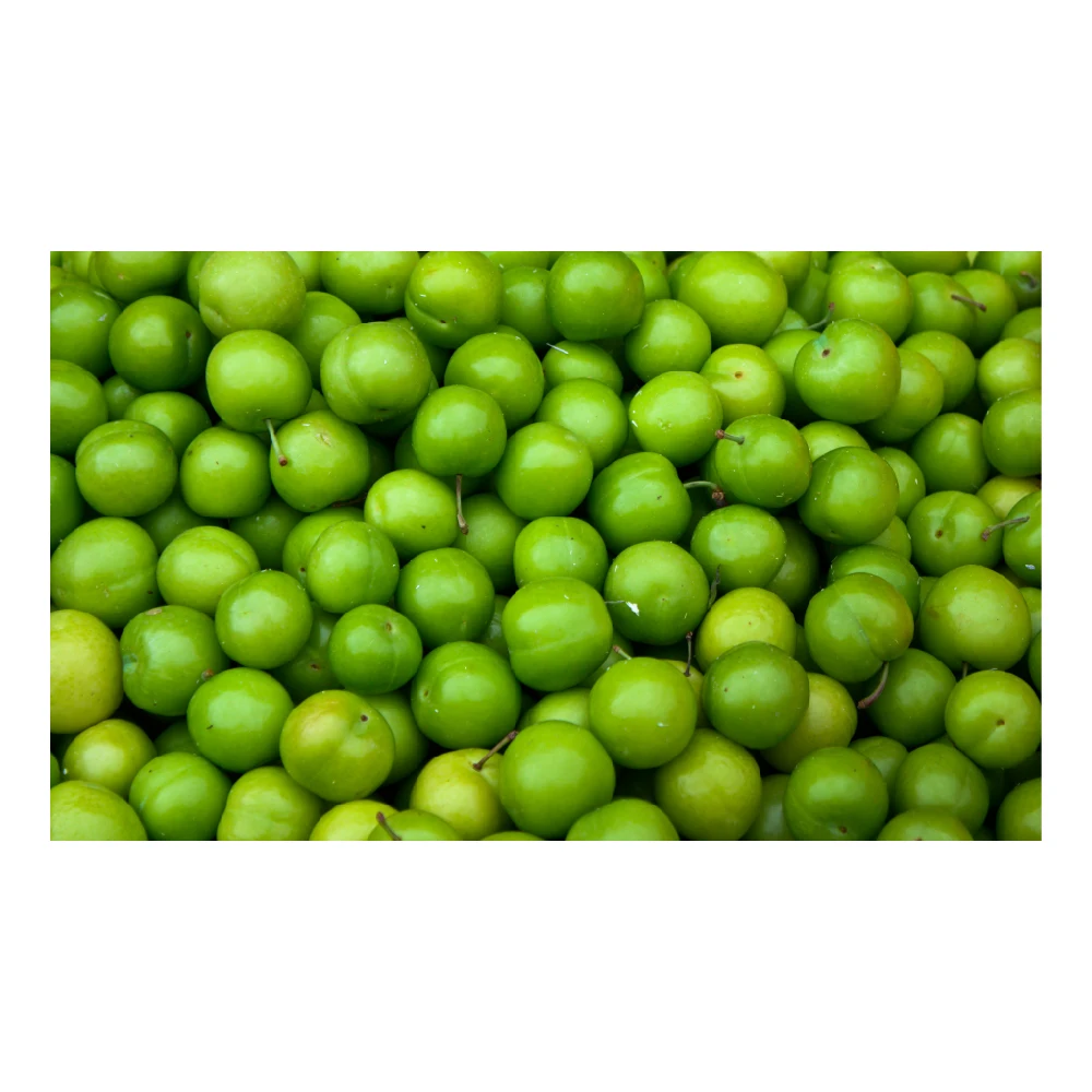 Wholesale Turkey Origin Fresh and Delicious Green Plums Plum Green Plum Fruit Vegetable Food High Quality