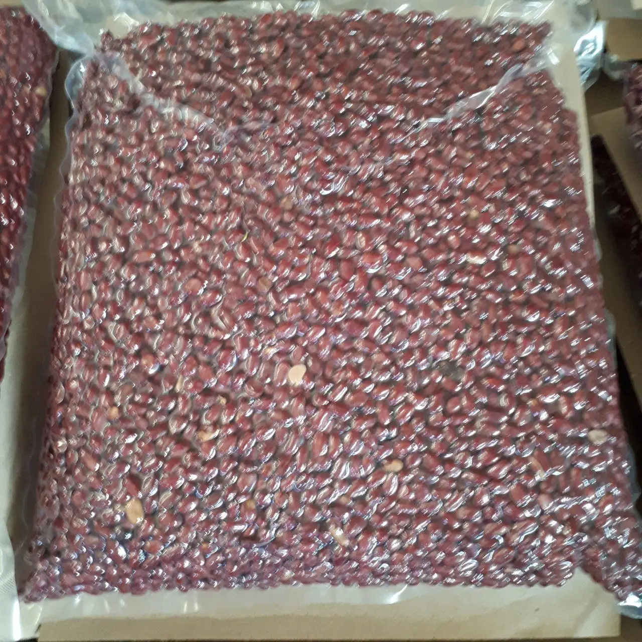 Wholesale Natural Organic First Grade Roasted Peanuts Bulk Pealed Roasted Peanut Laser Sorting Peanuts Nuts & Kernels