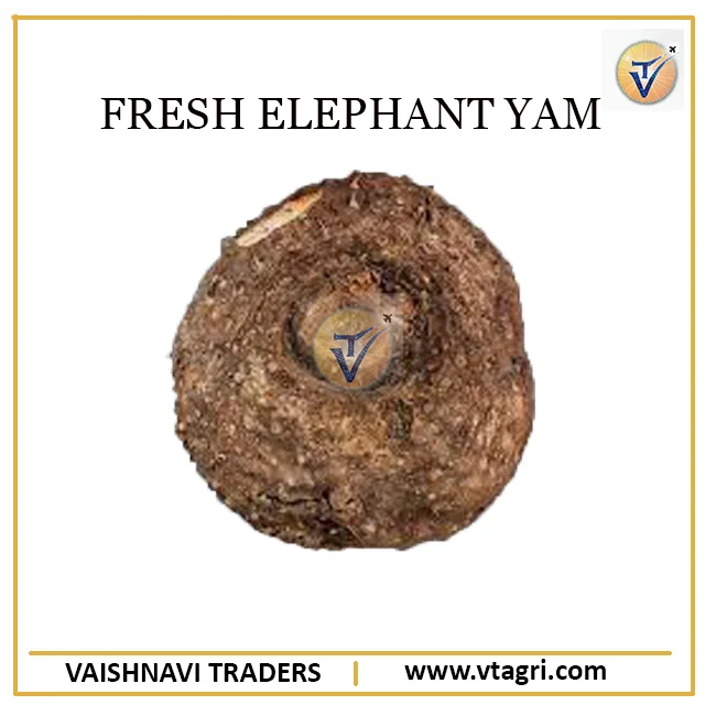 Round Elephant Foot Yam Exporter - Fresh Yam from India - Top Grade Elephant foot yam