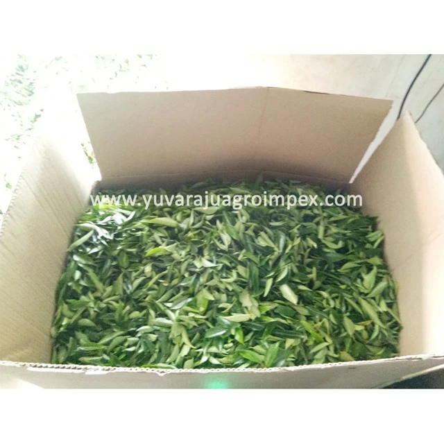 Indian spices dried curry leaves Manufactures in India to Canada USA  Australia Sri Lanka Nigeria Ireland Malaysia