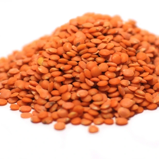 Wholesale Premium Quality Crimson Lentilles / Green Lentils Price / Red Lentils