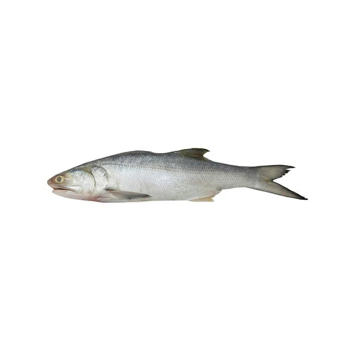 factory price fresh fish Frozen Salmon Fish Pink Fresh Salmon